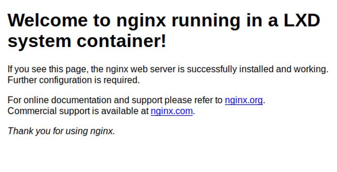 Web page of the nginx server running in a container