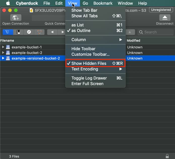 Viewing all of your bucket&rsquo;s objects, ensure your bucket has Show Hidden Files enabled.