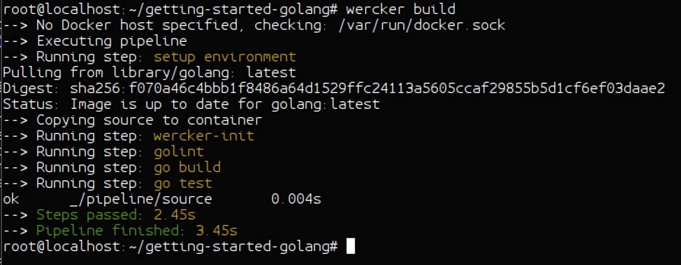 Wercker CLI build